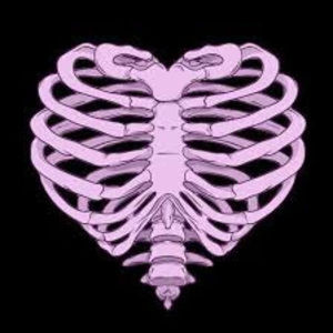 Meet your Posher, Lee